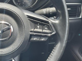 【レーダークルーズコントロール(全車速追従機能付】ミリ波レーダーと単眼カメラで先行車を認識し、車速に応じた車間距離を保ちながら追従走行を支援します。