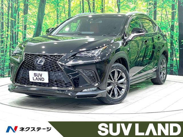 NX 300h Fスポーツ （DAA-AYZ15）