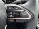 クルーズコントロール付いています!高速道路等の運転にとっても便利ですよ!!