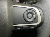 全車速追従機能付ACC(アダプティブクルーズコントロール)付