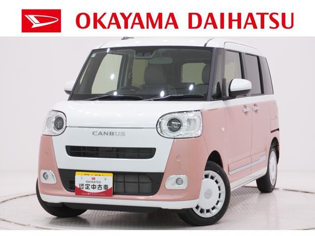ムーヴキャンバス  ストライプス G