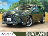 純正エアロ サンルーフ 14型ナビ 全周囲カメラ デジタルインナーミラー