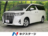 BIG-X11型ナビ 両側パワスラ バックカメラ 衝突被害軽減システム