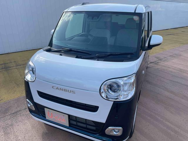 ムーヴキャンバス  ストライプス G