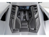 Altanero Shiny Black (21 22 forged)