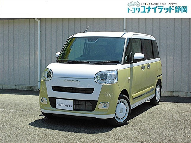ムーヴキャンバス  ストライプス G
