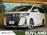 モデリスタエアロ 9型ディスプレイオーディオ バックカメラ ETC