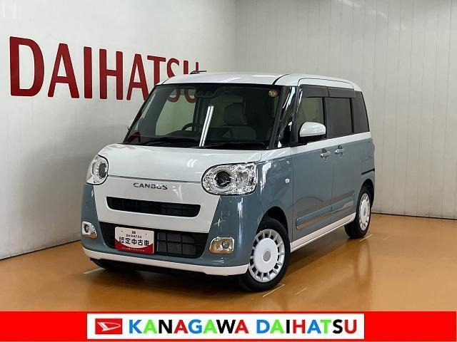 ムーヴキャンバス  ストライプス G
