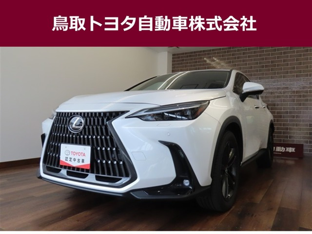 NX 250 バージョンL NX 250 バージョンL
