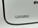 LX‐MODEエンブレム!