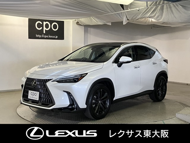 NX 250 バージョンL 4WD 