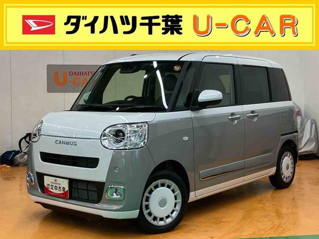 ムーヴキャンバス  ストライプス G
