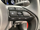 前方の車との車間を設定し、スピードを上げたり緩めたりを自動で行ってくれる追尾式の「レーダークルーズ」。上級装備の一つです!高級車にしかつかない嬉しい機能です。