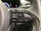 前方の車との車間を設定し、スピードを上げたり緩めたりを自動で行ってくれる追尾式の「レーダークルーズ」。上級装備の一つです!高級車にしかつかない嬉しい機能です。