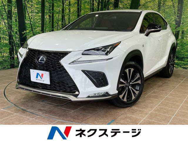 NX 300h Fスポーツ 