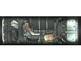 展示前にボディーも磨いて展示しております。