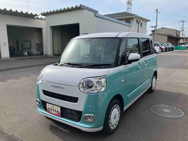 ムーヴキャンバス  ストライプス G