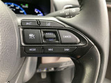 前方の車との車間を設定し、スピードを上げたり緩めたりを自動で行ってくれる追尾式の「レーダークルーズ」。上級装備の一つです!高級車にしかつかない嬉しい機能です。