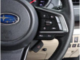 アイサイトの追従機能を使い遠方の運転も楽々!