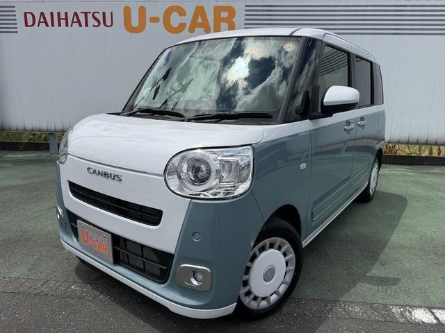 ムーヴキャンバス  ストライプス G