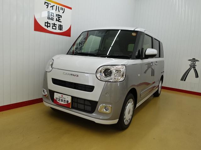 ムーヴキャンバス  ストライプス G