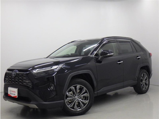 RAV4 2.5 ハイブリッド G E-Four 4WD （6AA-AXAH54）