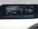 こちらのお車には先進安全装備が多数搭載されています。衝突被害を回避あるいは軽減するためのブレーキや、後方死角からの接近警報、車線逸脱を防止する警報装置など、詳しくはスタッフまでお尋ねください。