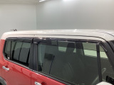 ドアバイザーが付いています。