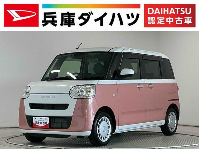 ムーヴキャンバス  ストライプス X