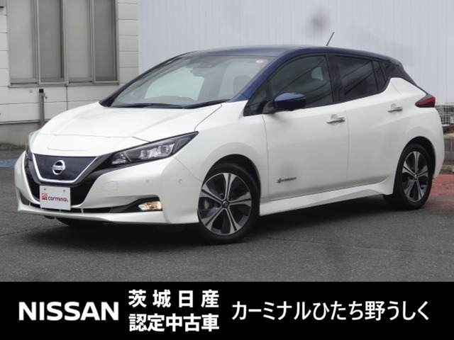 リーフ G 