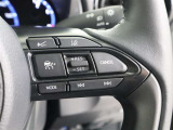 前車との適切な車間距離を保ちながら追従走行やスピードダウンをセンサーで行います。高速道路の長時間ドライブで疲労軽減に貢献します。