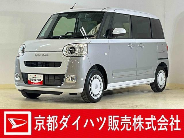 ムーヴキャンバス  ストライプス G