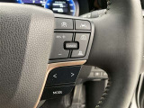 前方の車との車間を設定し、スピードを上げたり緩めたりを自動で行ってくれる追尾式の「レーダークルーズ」。上級装備の一つです!高級車にしかつかない嬉しい機能です。