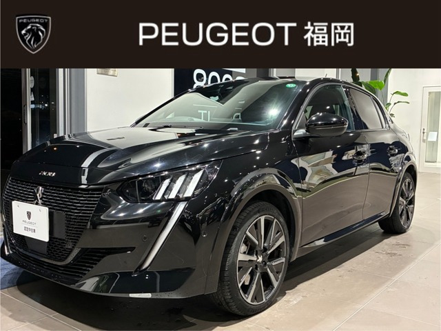 e-208 GT