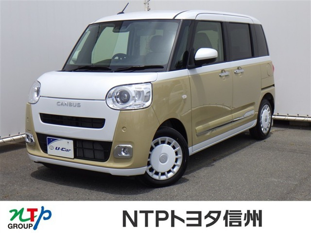 ムーヴキャンバス  ストライプス G