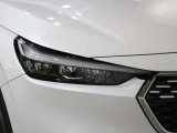 LEDヘッドライトです。