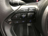 ステアリングスイッチ付き。前方から目を離すことなく操作することが可能です。