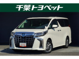 【メイン】 千葉・茨城・埼玉・東京・神奈川での登録、及びご来店いただける方への販売に限らせていただきます。