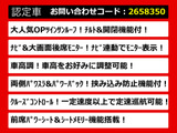アルファード 2.4 240G 両自 車高調 後席モニター サンルーフ