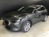 斜め前が車の決めポーズ!