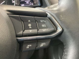 レーダークルーズコントロールを装備。アクセルやブレーキを操作しなくても、自動で先行車との車間距離を保ち追従走行できます。長距離や高速道路を運転する際に、ドライバーへの負担を軽減します。