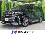 モデリスタフルエアロ 左右独立ムーンルーフ ユニバーサルステップ 禁煙車