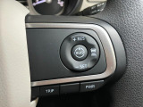 全車速追従機能付ACC(アダプティブクルーズコントロール)付
