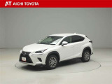 NX 300h Iパッケージ 