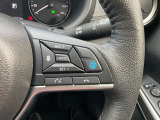 単一車線自動走行プロパイロッドです。これで遠出もラクラクドライブ♪優秀な副操縦士です。
