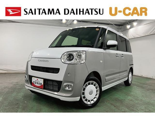 ムーヴキャンバス  ストライプス G