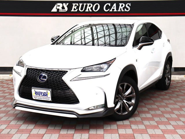 NX 300h Fスポーツ 12.3インチナビ・フルセグ・DVD再生・バッ