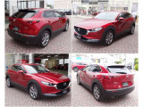 CX-30 2.0 20S プロアクティブ ツーリングセレクション 4WD 