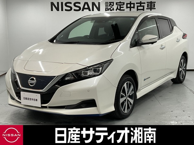 リーフ e+ X 