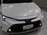 フロント廻りです。